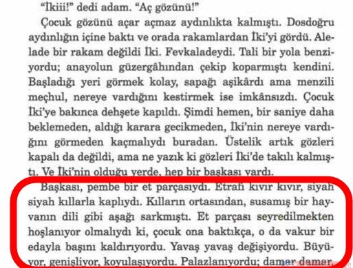 Abdullah Şevki'den sonra bir pedofili vakası daha. Elif Şafak'ın pedofili içeren kitabı. Bu kitap nasıl basılır?