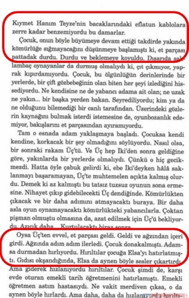 Abdullah Şevki'den sonra bir pedofili vakası daha. Elif Şafak'ın pedofili içeren kitabı. Bu kitap nasıl basılır?