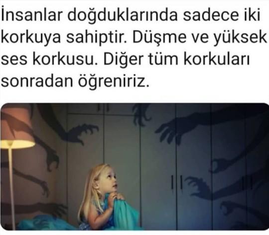 Nelerden korkarsın?