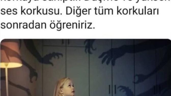 Nelerden korkarsın?