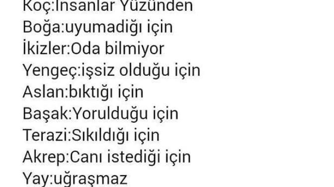Burçlar Dünyayı Yakarsa Neden Yakar?