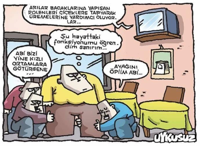 Partneriniz nasıl bir fantezi uygulasa aklınızı başınızdan alır?