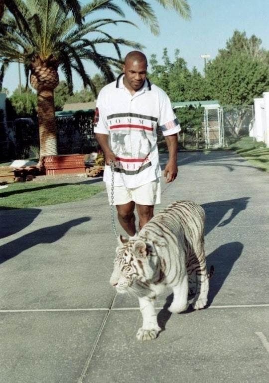 Muhammed Ali mi yoksa Mike Tyson mu İşte Dünyanın En Güçlü İki Boksörü?