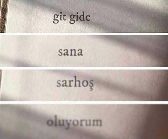 Git gide sana sarhoş oluyorum dediğiniz biri var mı?