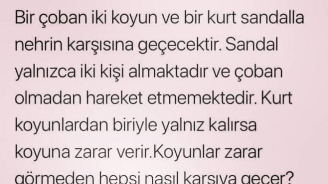 Ben koyunları kıyıya geciremedim bakalım siz gecirebilecek misiniz?
