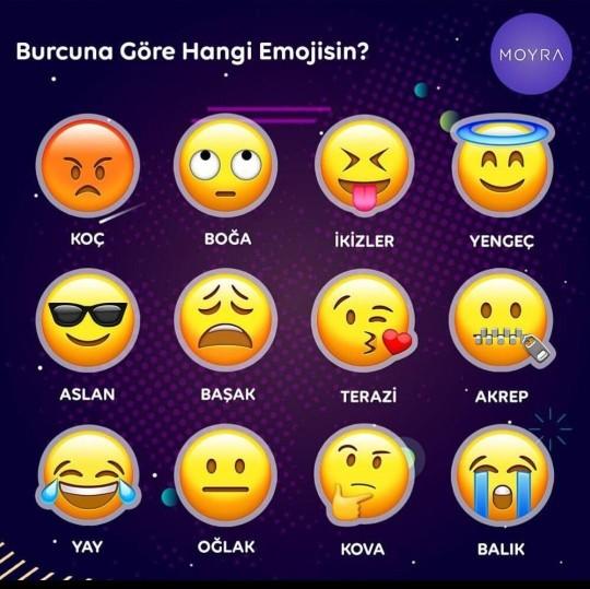 Burcuna göre hangi emojisin?