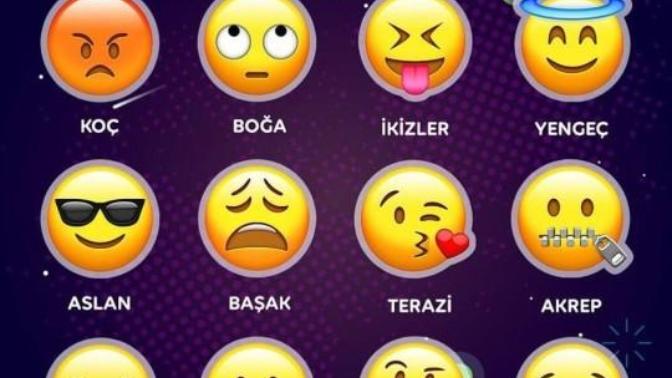 Burcuna göre hangi emojisin?