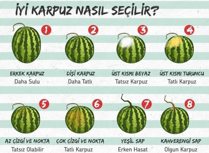 Sizce iyi karpuz nasıl seçilir?