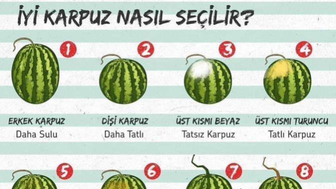 Sizce iyi karpuz nasıl seçilir?