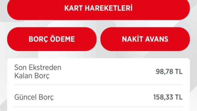 Toplam borcum ne kadar?