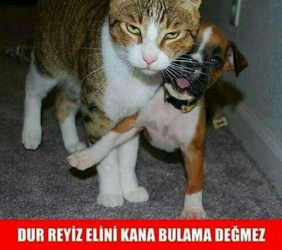 Arkadaşlar Samsunlulara laf eden var mı?