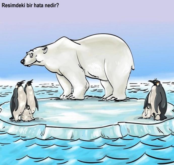 Resimde bir hata var mı?