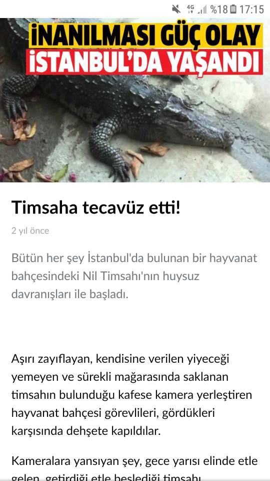 Timsaha tecavüz de ne be?