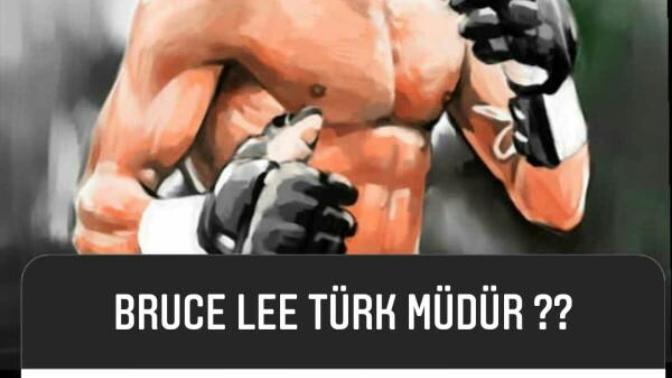 Bruce lee turk mu?