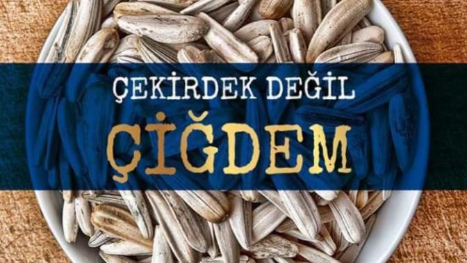 Size göre çekirdek mi, çiğdem mi? Doğrusu nedir?