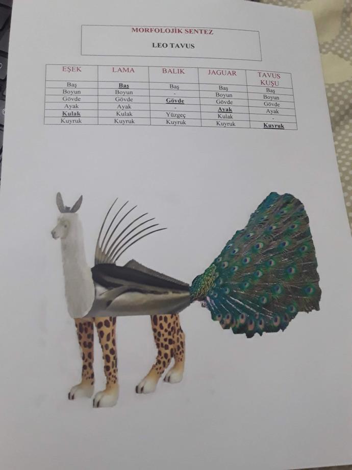 Daha yaratıcılık katabilmek için Neyi değiştirip veya ne ekleyebilirim?