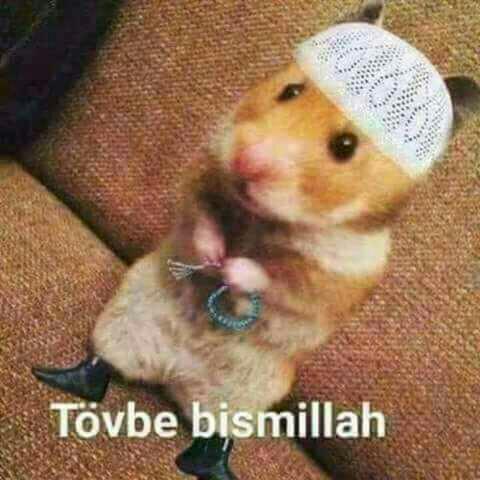 ''Param olmasa da beni sevebilir misin?'' Sorusuna cevabınız ne olurdu?