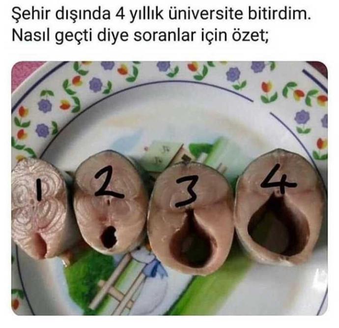 Şehir dışında üniversite okumak hakkında?