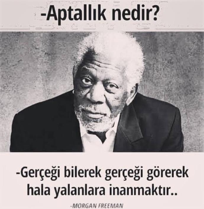 Size göre 'Aptallık' nedir?