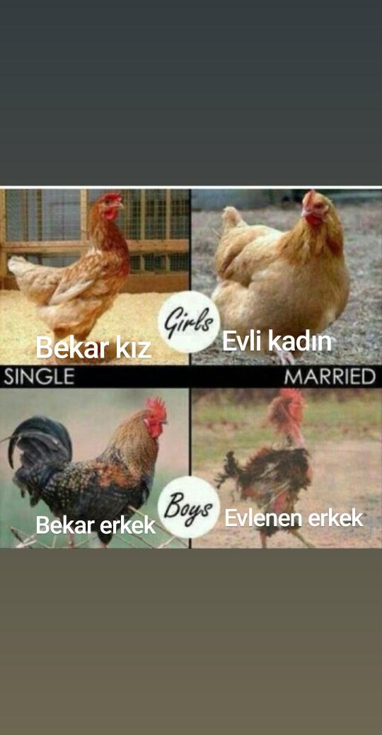 Evlilik kadına mı yoksa erkeğe mi yarıyor?