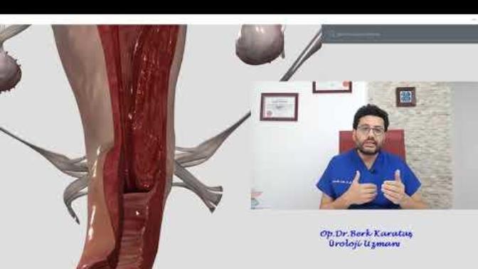 Ya kızların uterus kısmında maksimum 9-16 cm zevk alma noktası varken neden çok uzun ararsınız ki?