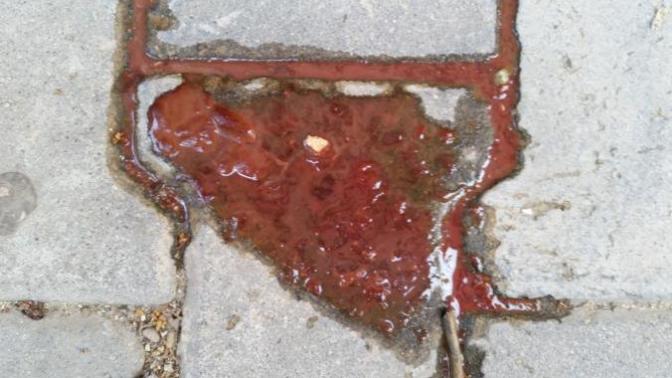 Köprğimin dışkısı çok kötü bu kanlı ishal mi? Parazit mi?