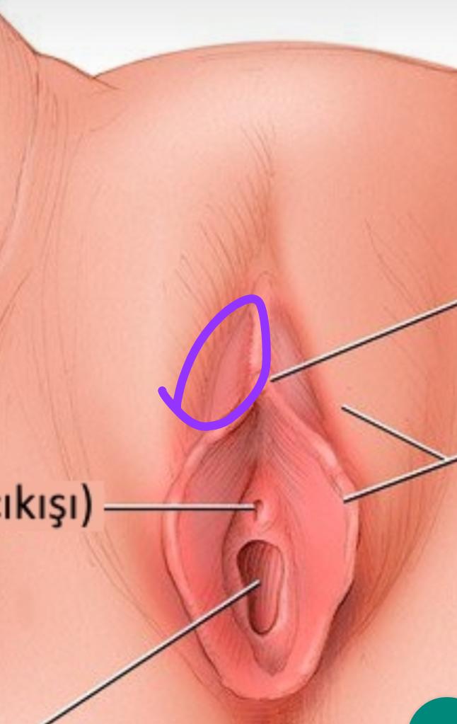 Genital bölgemde ki şişlik neden olabilri doktora gitmeli miyim?