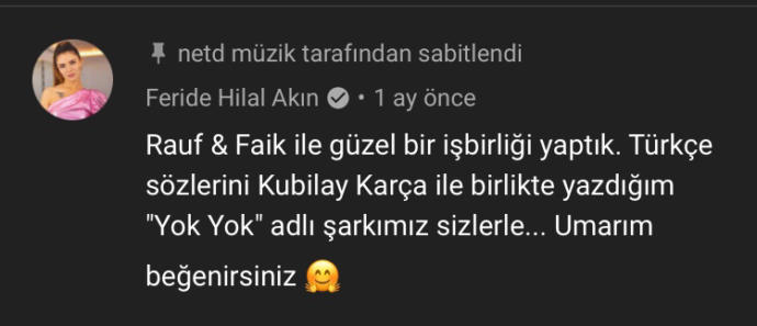 Feride Hilal Akın'ın Yok Yok şarkısı çalıntı mı?