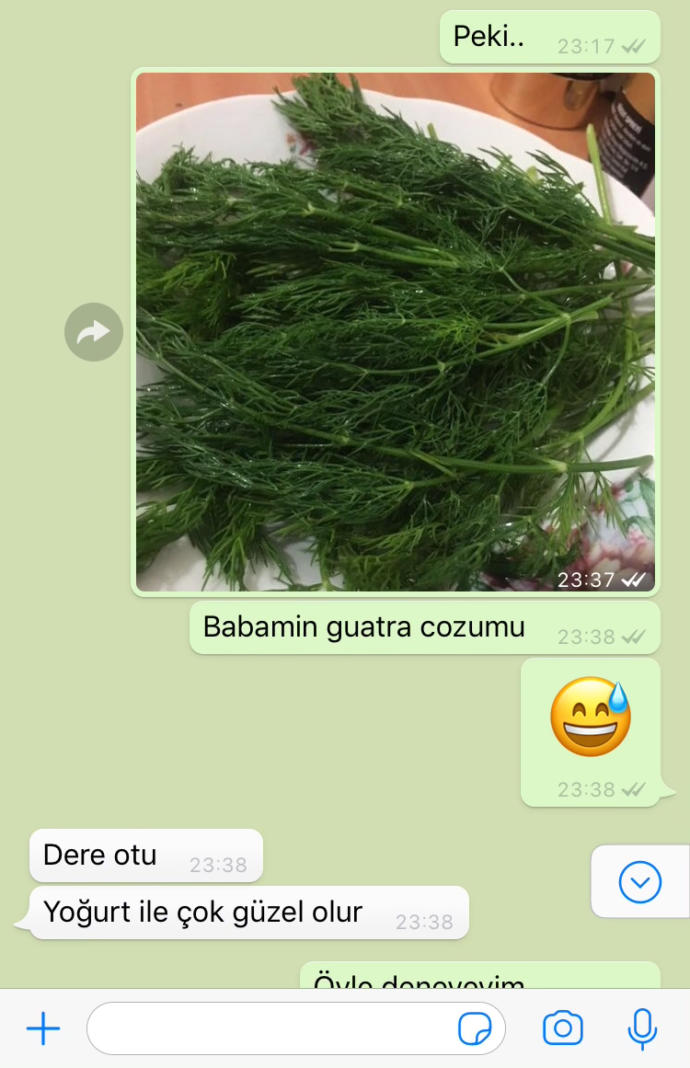 Dik başlı nedir nasıl olunur?