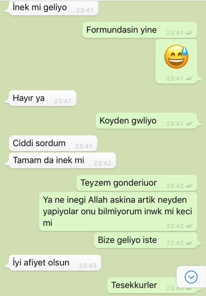 Dik başlı nedir nasıl olunur?