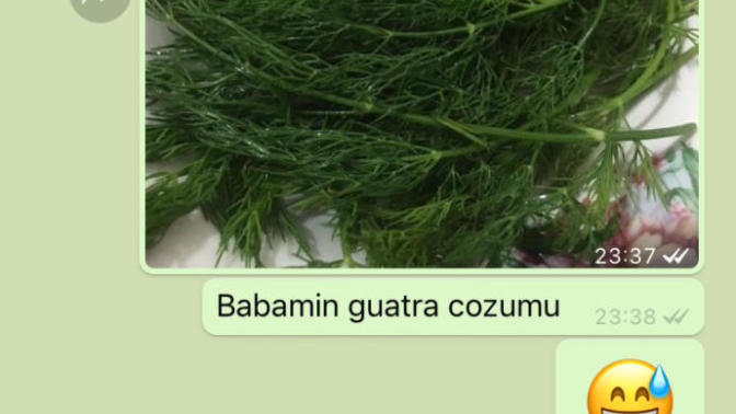 Dik başlı nedir nasıl olunur?