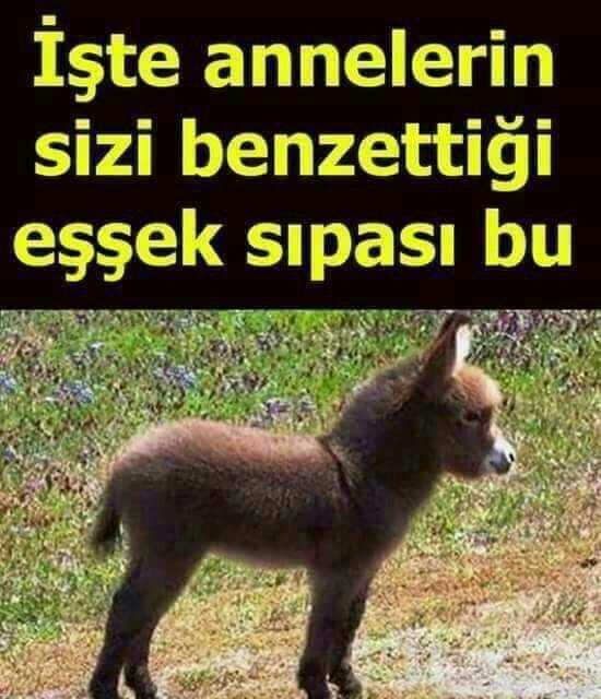Anneniz sizi çocukken neye benzetirdi?