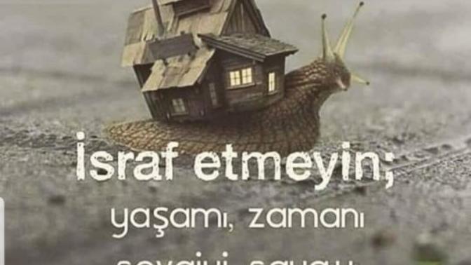Bir erkek bu sözu niye yazar insta profiline?