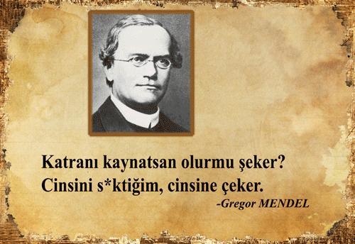 Katranı kaynatsan olur mu şeker ?