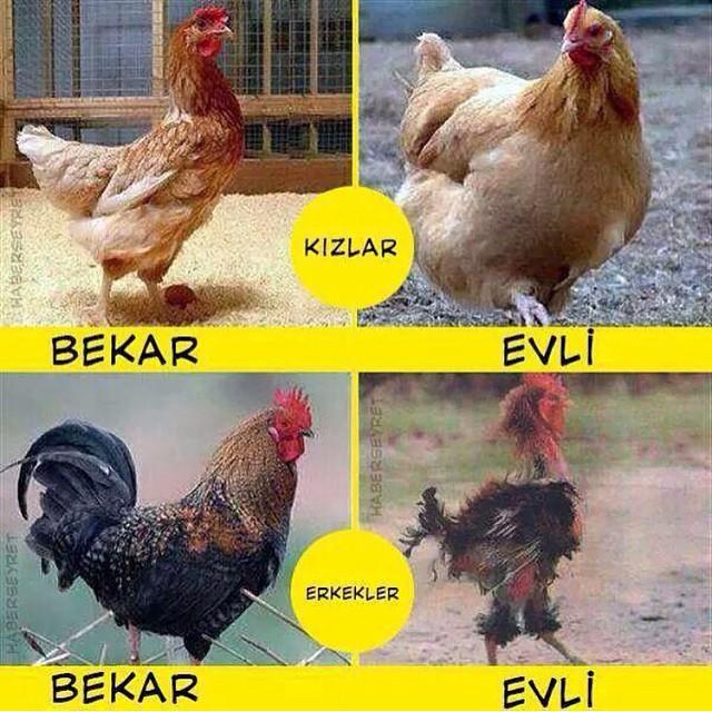 Evlilik en çok hangi cinse yarar?