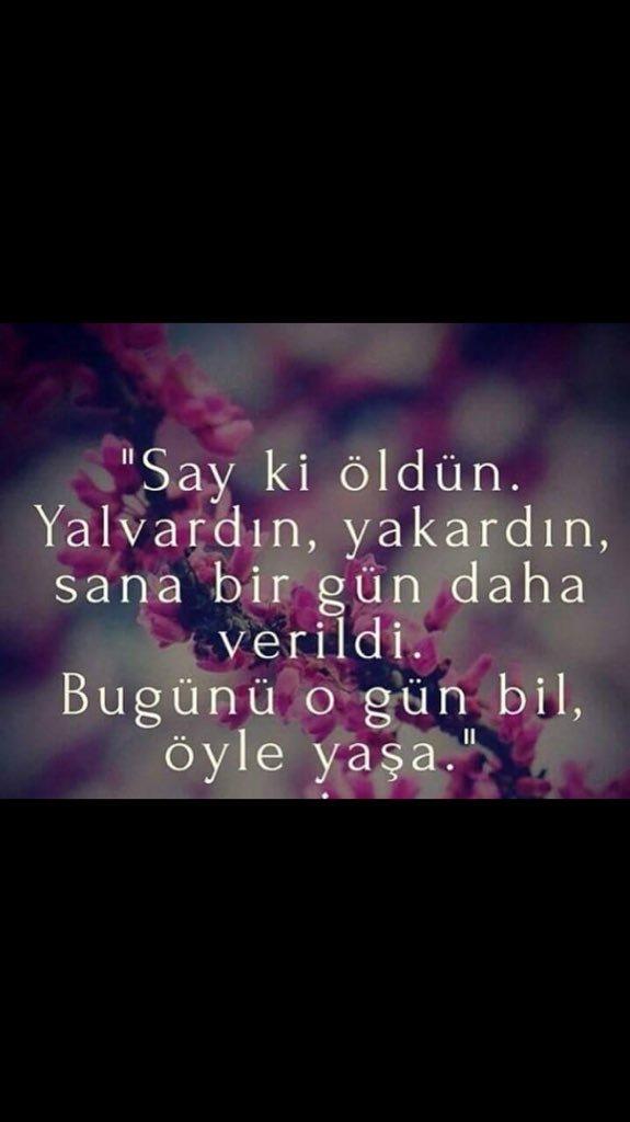 Eğer bugün hayatınızın son günü olsaydı, şu an yaptığınızı yapıyor olur muydunuz?