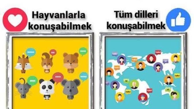 Birini tercih etseydin hangisini tercih ederdin?