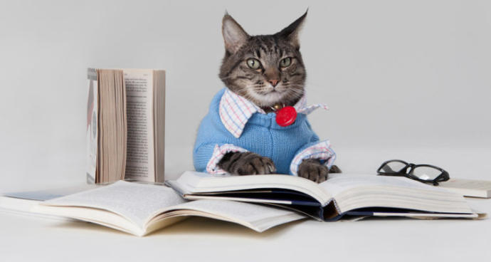 Rutin bir şekilde kitap okumayı sevenler... Şu an hangi kitabı okuyorsunuz? Tavsiye eder misiniz?