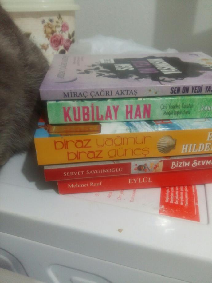 Rutin bir şekilde kitap okumayı sevenler... Şu an hangi kitabı okuyorsunuz? Tavsiye eder misiniz?