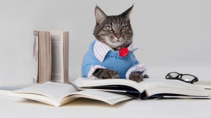 Rutin bir şekilde kitap okumayı sevenler... Şu an hangi kitabı okuyorsunuz? Tavsiye eder misiniz?