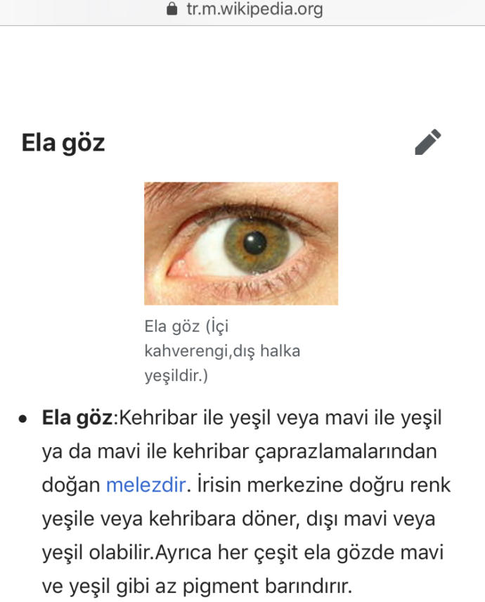Ela renk böyle mi oluyor? Sizce gözlerim ne renk? 🤔?