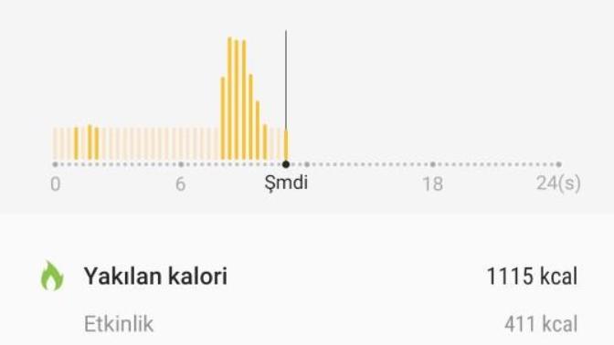 Kac kalori yaktim anlayamadim?
