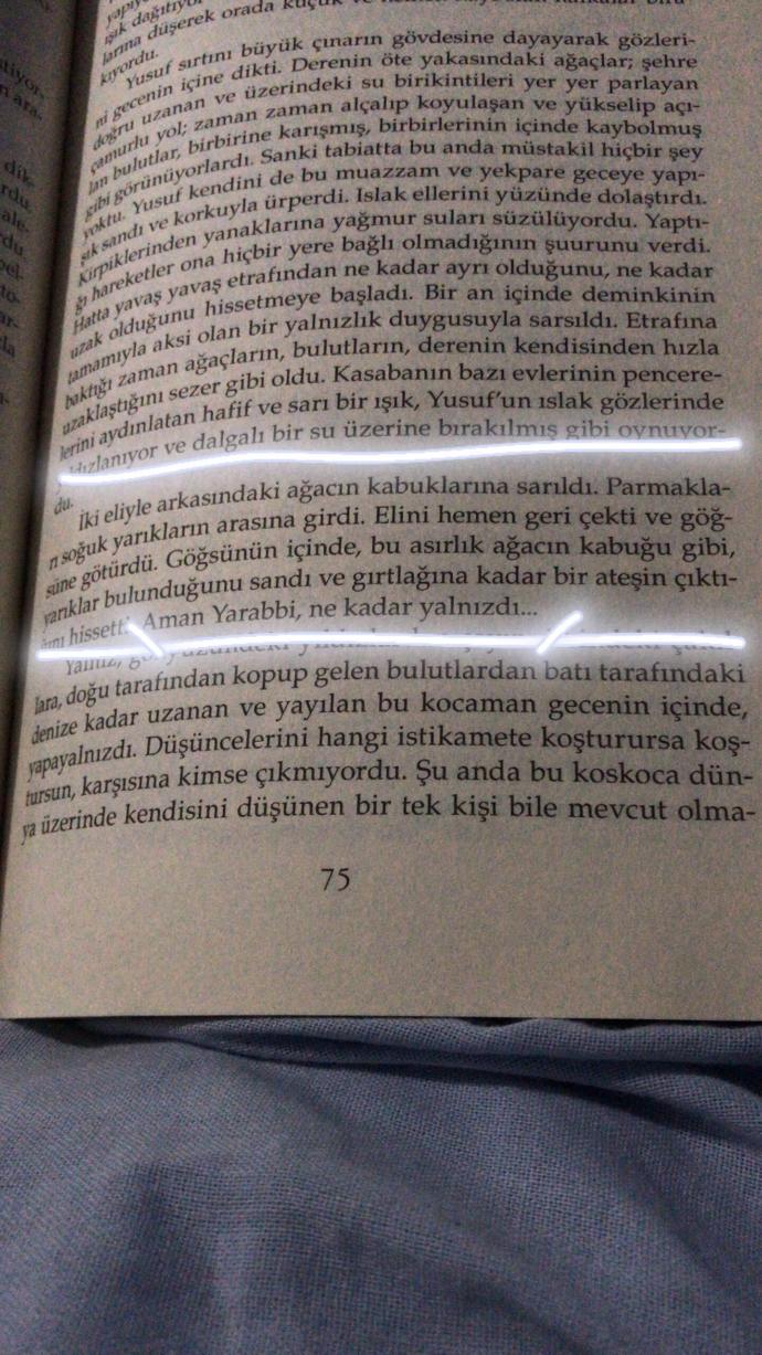 Sizi bu zamana kadar en çok etkileyen kitap cümlesi/alıntısı hangisidir?