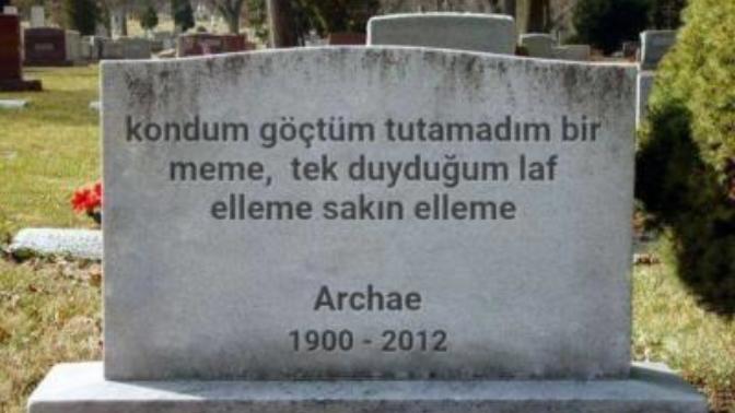 Sevgilimin memeleri nilüfer gibi füze gibi. ne zaman ellemeye kalksam "elleme sakin elleme"diyor. sizce beni sevmiyor mu?