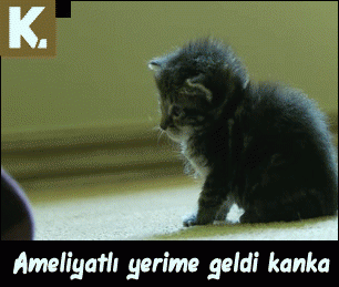 İnsan vücudunda istem dışı çalışan şey nedir?