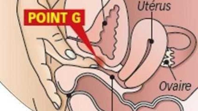 G Noktası nedir, nerede yer alır ve nasıl uyarılır?