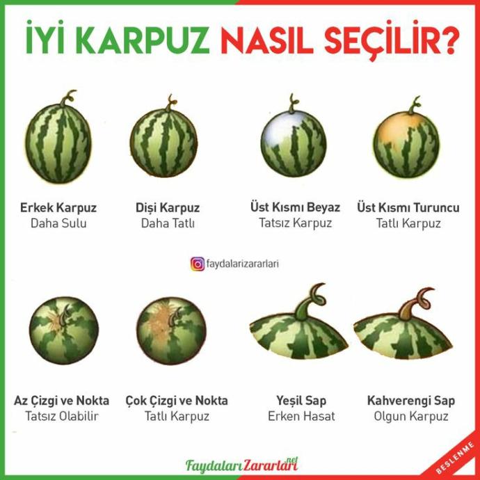 En iyi karpuz nasıl seçilir, sizin bir yönteminiz var mı?