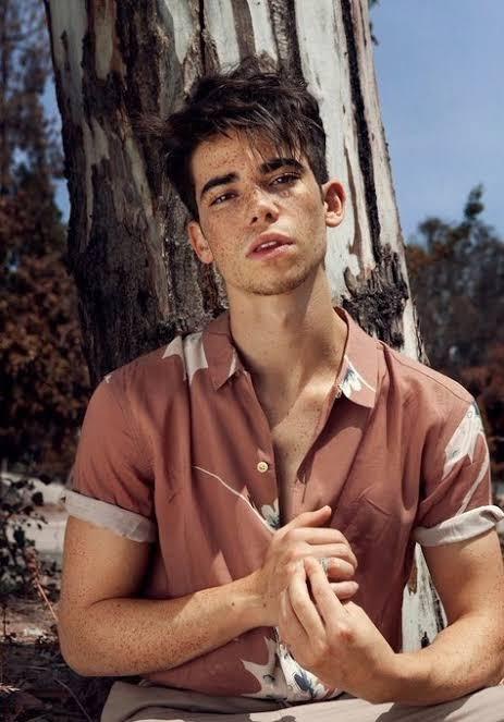 Cameron boyce ölmesi üzdümü neler hissettiniz?