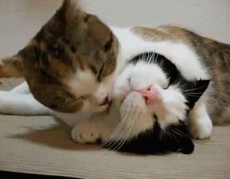 Bir erkeğin boynunu ve kulak memesini emmek ona ne hissettirir?