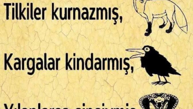 İnsan nasıl bir varlıktır?